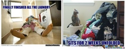 laundry-y-u-no-fold-yourself_c_142044